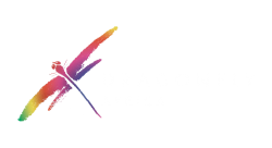 Dragonfly PNG Logo